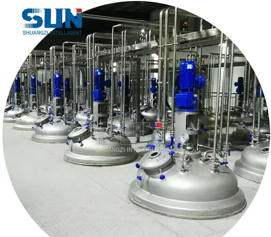 ASME CIP Dairy & Yoghourt Machenical Stirring Fermenter Fermentation Tank