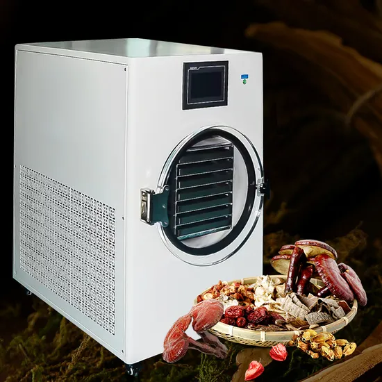Small Food Drying Vacuum Freeze Dryer Home Use Food Drying Machine Lyophilizer