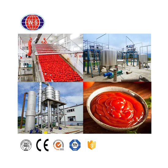 2024 High Efficiency Tomato Paste Making Machine for Tomato Paste Production Line