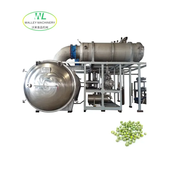 Advanced Lyophilizer Machine for Fd Fruits and Vegetables for Sale