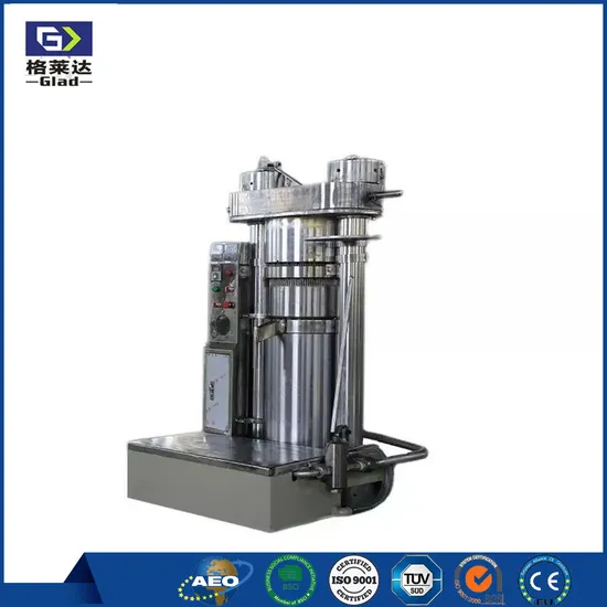 China Hydraulic Press Mechanism for Oil Press Sunflower Sesame Seeds