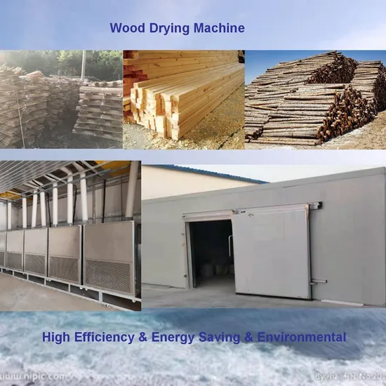 Heat Pump Dryer Machinery Balsa Wood Dehumidifier Drying Chamber Hot Air Circulating Drying Oven Dehydrator Agriculture Products Processing Timber Wood Dryer