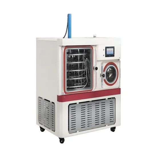 Batch Small Vacuum Fruit Food Machine