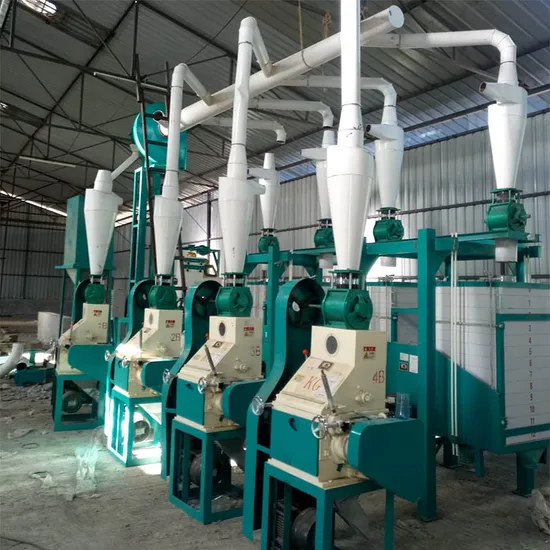 Chinese State-Owned Manufacture Maize Flour Mill Milling Plant Machine with 30t/24h