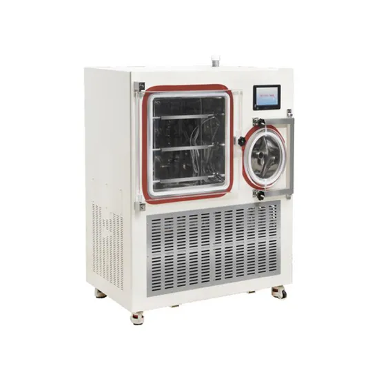 High Efficient Small Freeze Drying Freeze Dried Food Machine