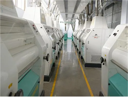 300tpd Maize Milling Machine for Flour and Grits