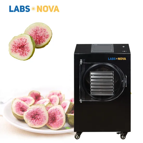 Home Use 6kg 8kg 10kg 15kg Vacuum Freeze Dried Candy Instant Coffee Dryer Machine Germany
