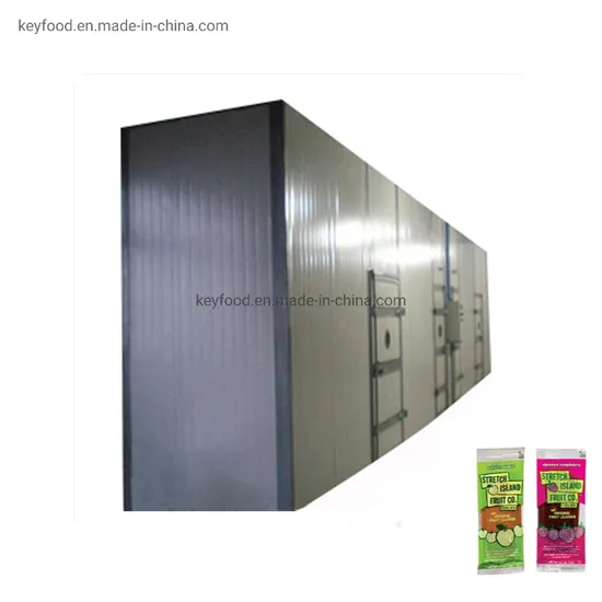 Best Fruit Leather Production Line Fruit Bar Making Machine