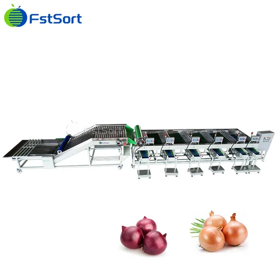 Vegetable Processing Industry Onion Sorting Machine Onion Grading Machine Price
