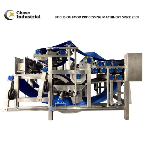 New Condition SUS304/316 Fruits and Vegetables Juice Jam Paste Belt Press