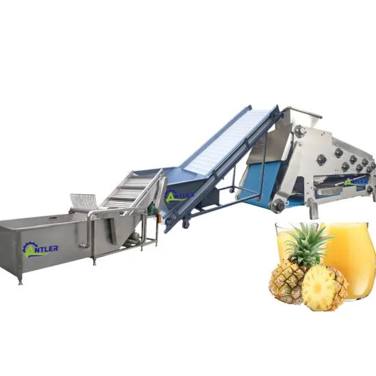 Peach Apricot Plum Avocado Complete Fruit Juice Pulp Puree Concentrate Processing Line