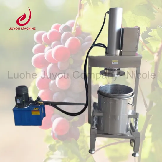 Industrial Automatic Pineapple Lemon Juice Pressing Production Line Commercial Apple Mango Sugarcane Fruit Juice Making Machine for Small Business