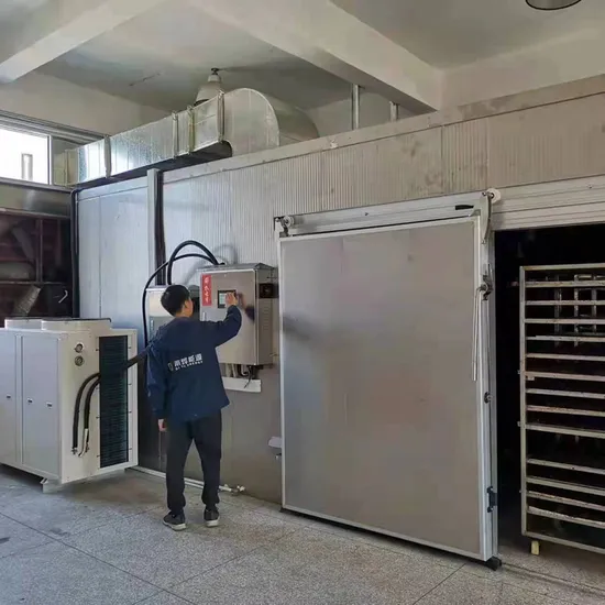 Economic Seaweed Dehydrator Carp Shrimp Sardine Cod Drying Oven Machinery for Food Cereal Automatic Inkfish Kelp Abalone Dehydration Chamber Seafood Fish Dryer