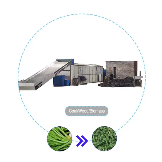 Industrial Pepper Drying Machine Radish Lettuce Cassava Vegetable Radish Leaf Dryer