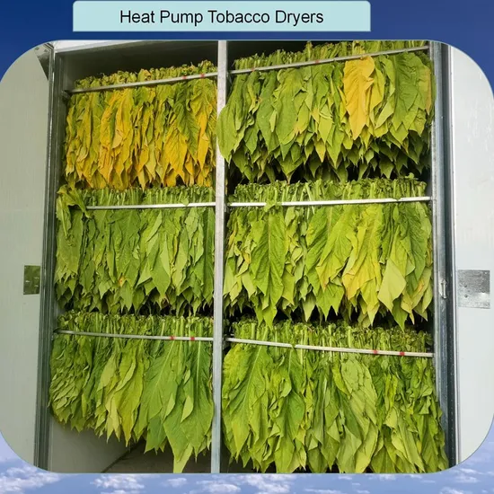 Nuts Dehumidifying Fruit Vegetable Food Leaves Drying Machine Herbs Spices Dehydrator Chamber Heat Pump Dryer Flower Leaf Dryer Chinese Tobacco Dryers
