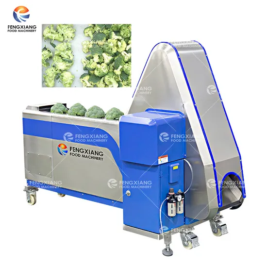 Broccoli Sorting and Slicing Machine Vegetable Cutting Machine