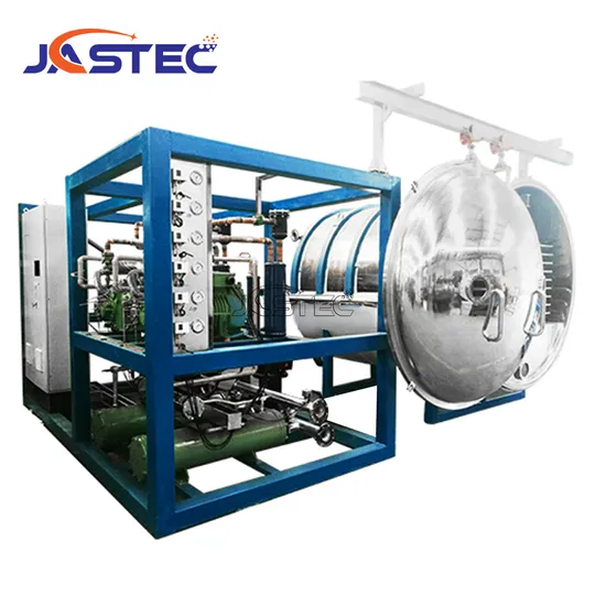 Vacuum Freeze Dryer Vegetable Machine Freeze Drying Vacuum Dry Lyophilized Price