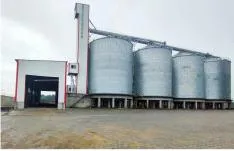 Flour Milling Machine for Sale Maize Cleaning Machine Wheat Processing Machine Industrial Corn Milling Machine Grain Cleaning Machine
