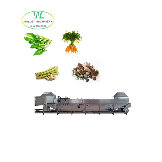 Customizing UPT Basket Type Blancher for Vegetable and Fruit