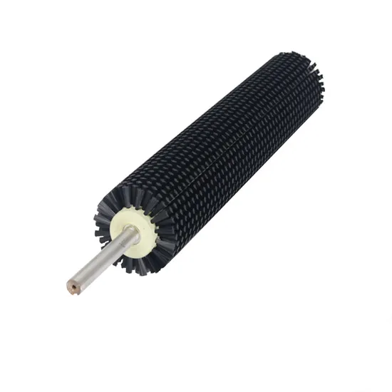 Fruit and Vegetable Clean Brush Roller From China Manufacturer