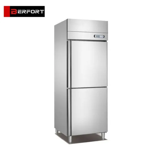 15 Pans Commercial Grade Flash Freezer for Ice Cream Restaurant Cold Chiller Cold Room Roast Duck Roast Goose Squab