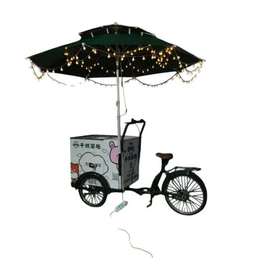Street Mobile Fast Foodtruck Ice Cream Cart Beer Bar Electric Tricycle Food Truck for Sale