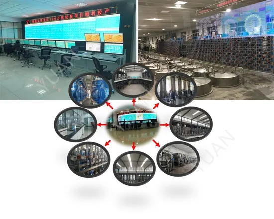 Top Quality Energy-Saving Factory Direct Supply High Return Glucose Processing Device
