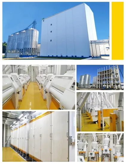 30tpd Maize Wheat Flour Mill Machine Posho Milling Machinery