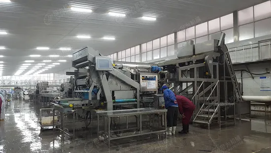 Litchi Canned Production Line Litchi Processing Machinery