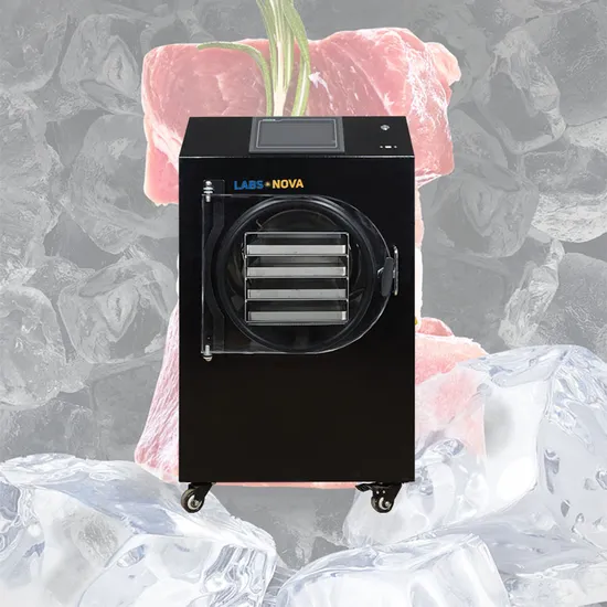 in Stock Home Use 8-13 Lbs. 4-6kg 4 Trays Freeze Dryer Machine for Freeze-Dried Corn Shoots Mussels Pet Food