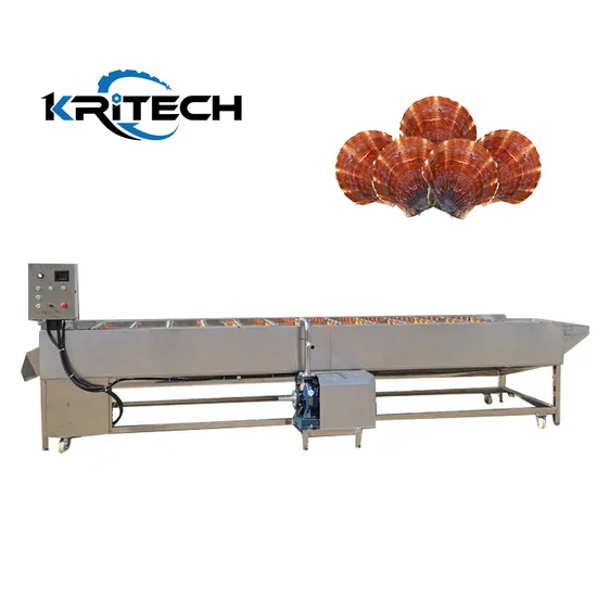Oysters Scallops Crayfish High Intensity Washing Machine
