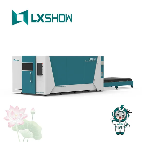 Best Automatic Micro Laser Cutting Machine Working Ss/CS/Aluminum/Brass