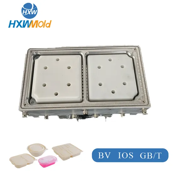 2D/3D Drawings Molding Plastic Vacuum Forming Mould Thermoforming Mold Lunch Box Mold