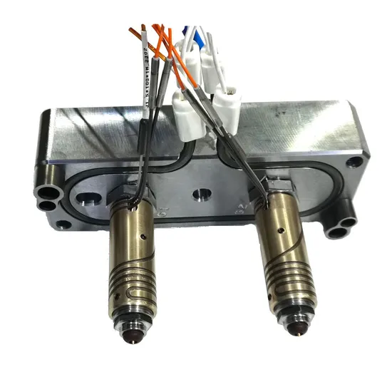 2 Cavity Mold Hot Runner for Injection Mold