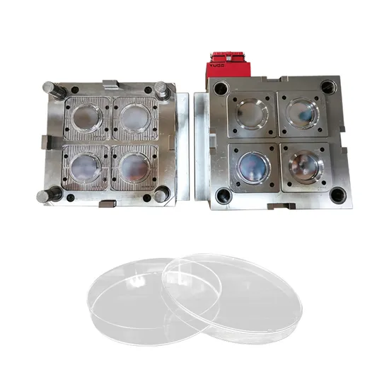 Mould Medical Device Injection Mold Medical Precision Injection Mold