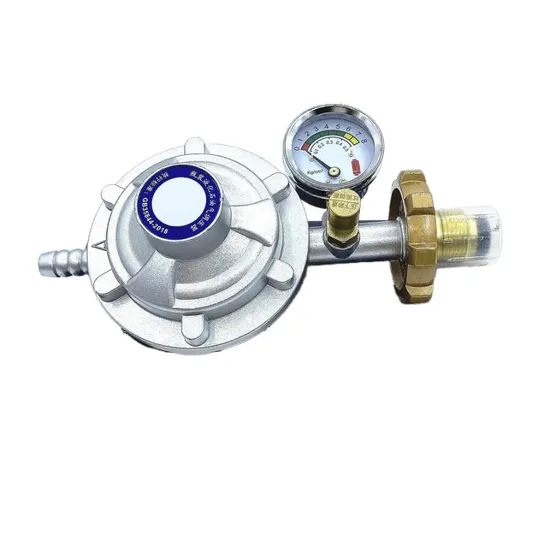High-Precision and Airtightness Gas Pressure Regulating Valve Mould
