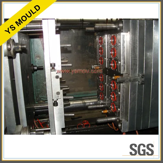 Plastic Injection Independent Sealing Ring Mould