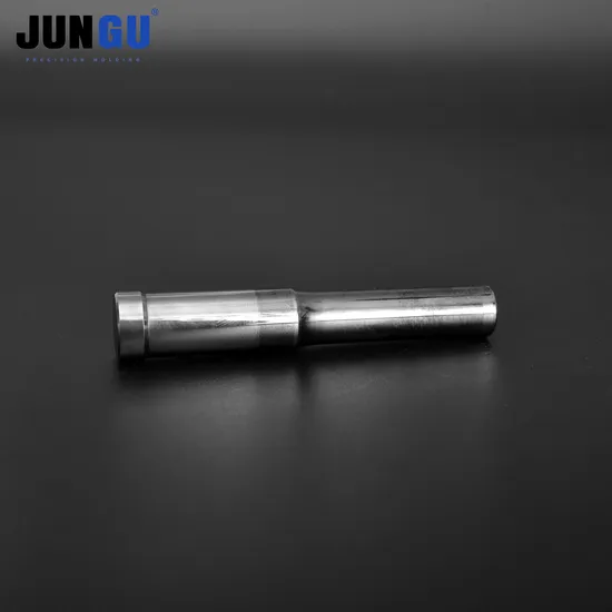 Fastener Mold Header Punch Professional Pin Punch Die Jg-PP-HP-163-5
