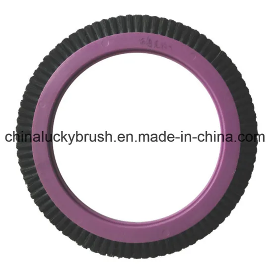Bruckner Wheel Stenter Brush Textile Brush Wheels (YY-739)