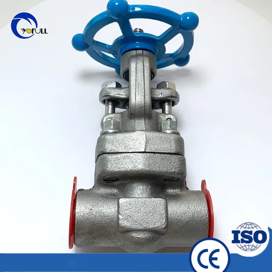 Durable A182-F304 1/2" Welded Gate Valve
