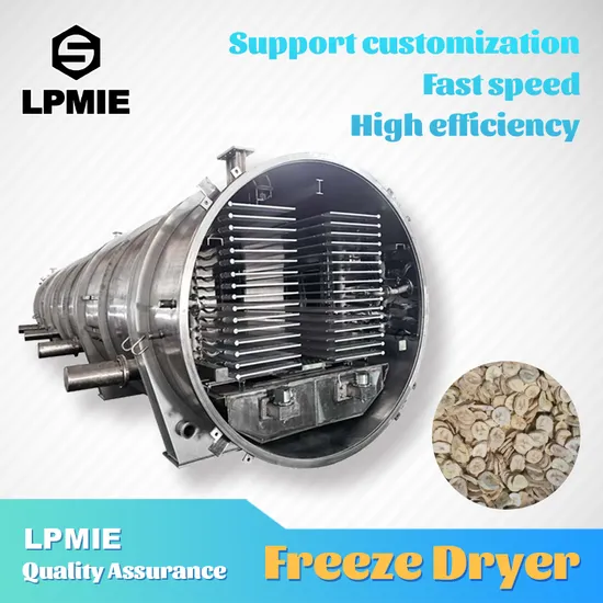 High Quality Food Processing Machinery Vacuum Freeze-Drying Equipment for Fruit/Meat/Seafood