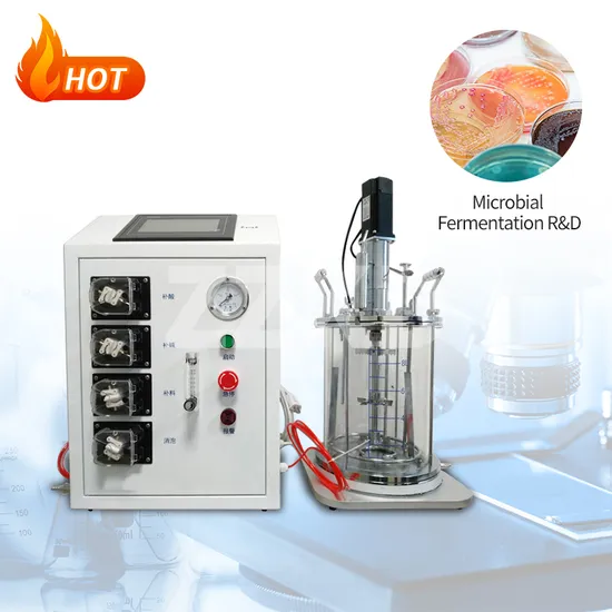 Lab Scale Bioreactor Laboratory Small Glass Bioreactor Fermenter Benchtop Bioreactor Price 2L 5L Bioreactor Price
