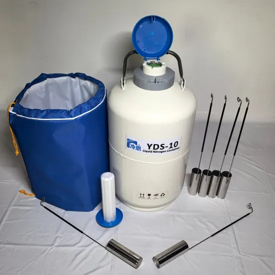 Mini Cryopreservation Liquid Nitrogen Tank of Cell Tissue Samples Storage 10L
