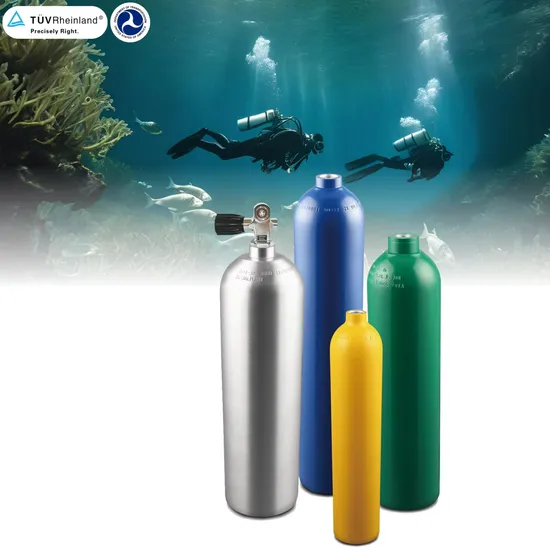 S80 S40 S53 S63 S06 S19 Tped DOT Oxygen Scuba Cylinder