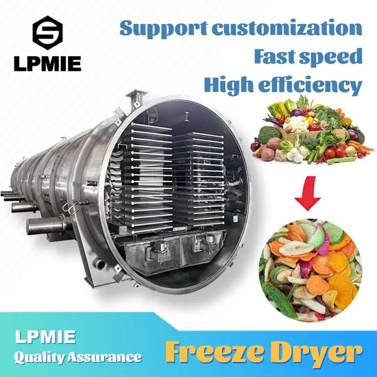 Fruits Drying Snack Machine Freeze Dryer Lyophilizer Freeze Drying Equipment Prices