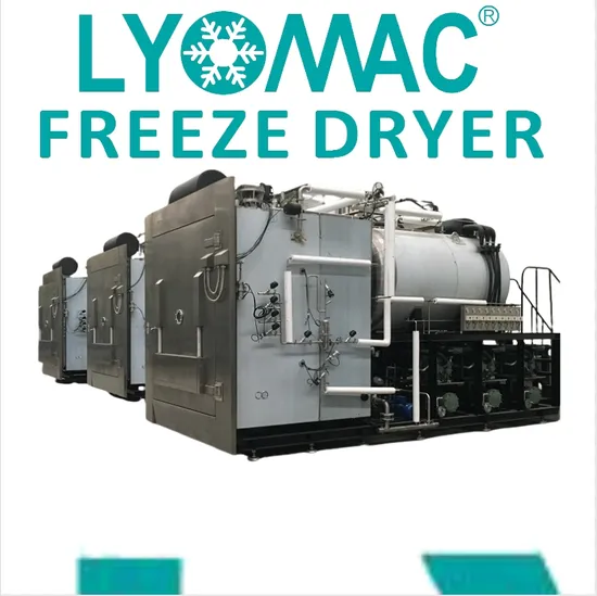 Fruit/Food/Pet Food Vacuum Lyophilizer
