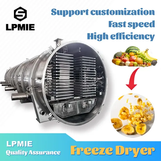 Industrial Pharmaceutical/Food/Fruit/Lab/Medical Vacuum Freeze Dryer Lyophilizer