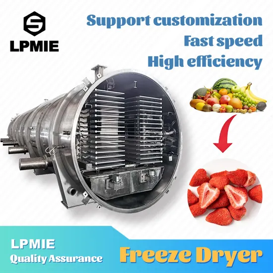 Drying Machine Sublimation Condensation Dryer Vacuum Lyophilizer Price Freeze Drying