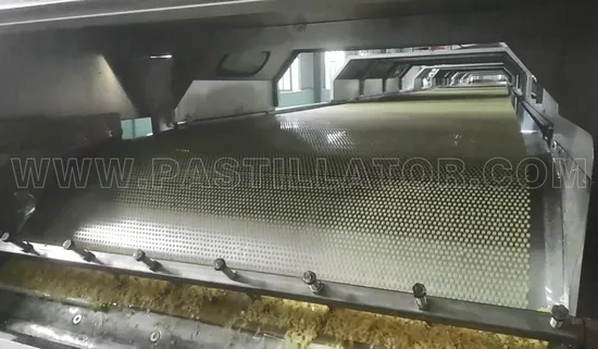 Granulator Stainless Steel Strip for Granulation Machine