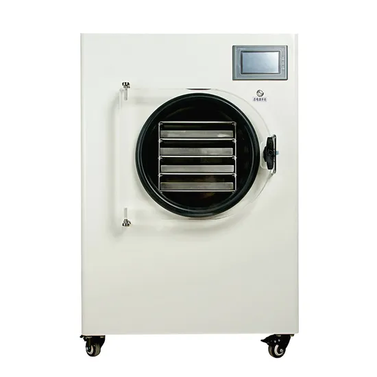 Vacuum Drying Lyophilisation Freeze Dryer for Pet Dog Cat Food